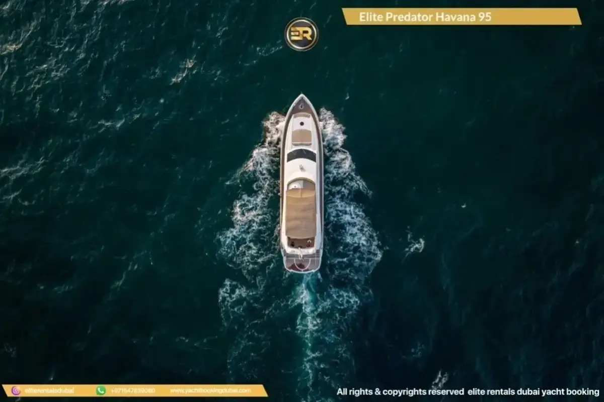 Elite Predator Havana 95 Yacht